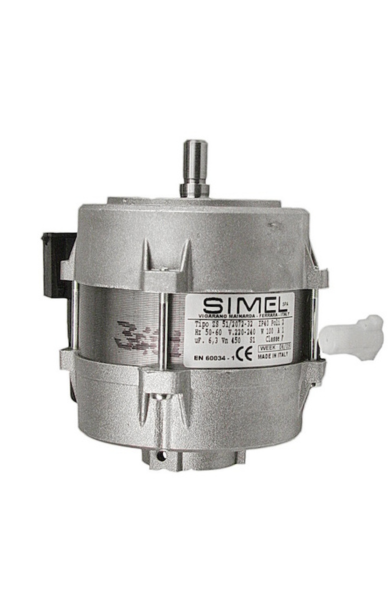 Motor 100w BTG 3.6/6& BTL4/6/10 (0005010131)